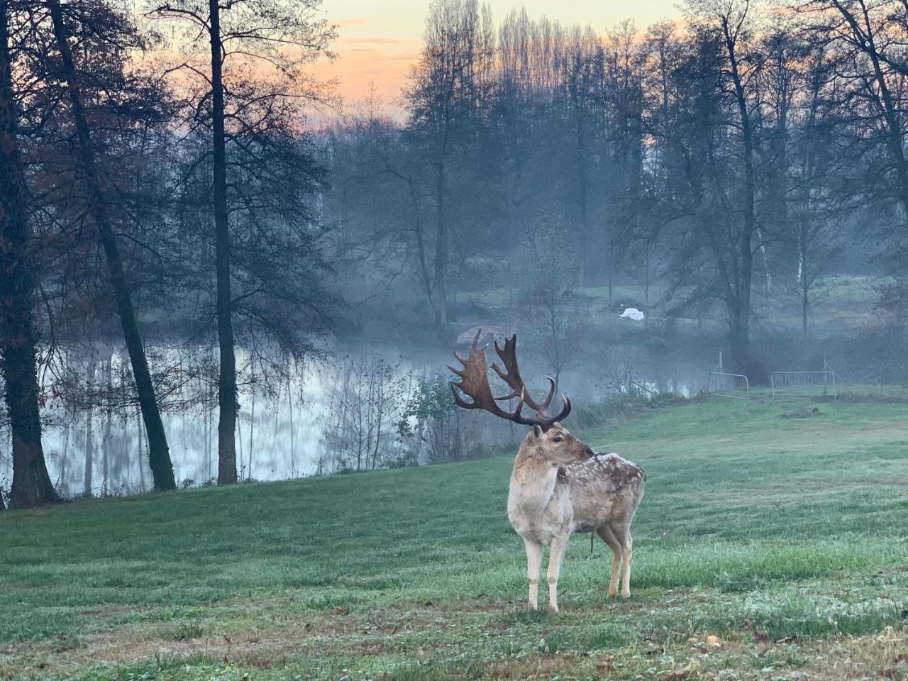 I Leprotti Alojamento de Turismo Rural Abbiategrasso